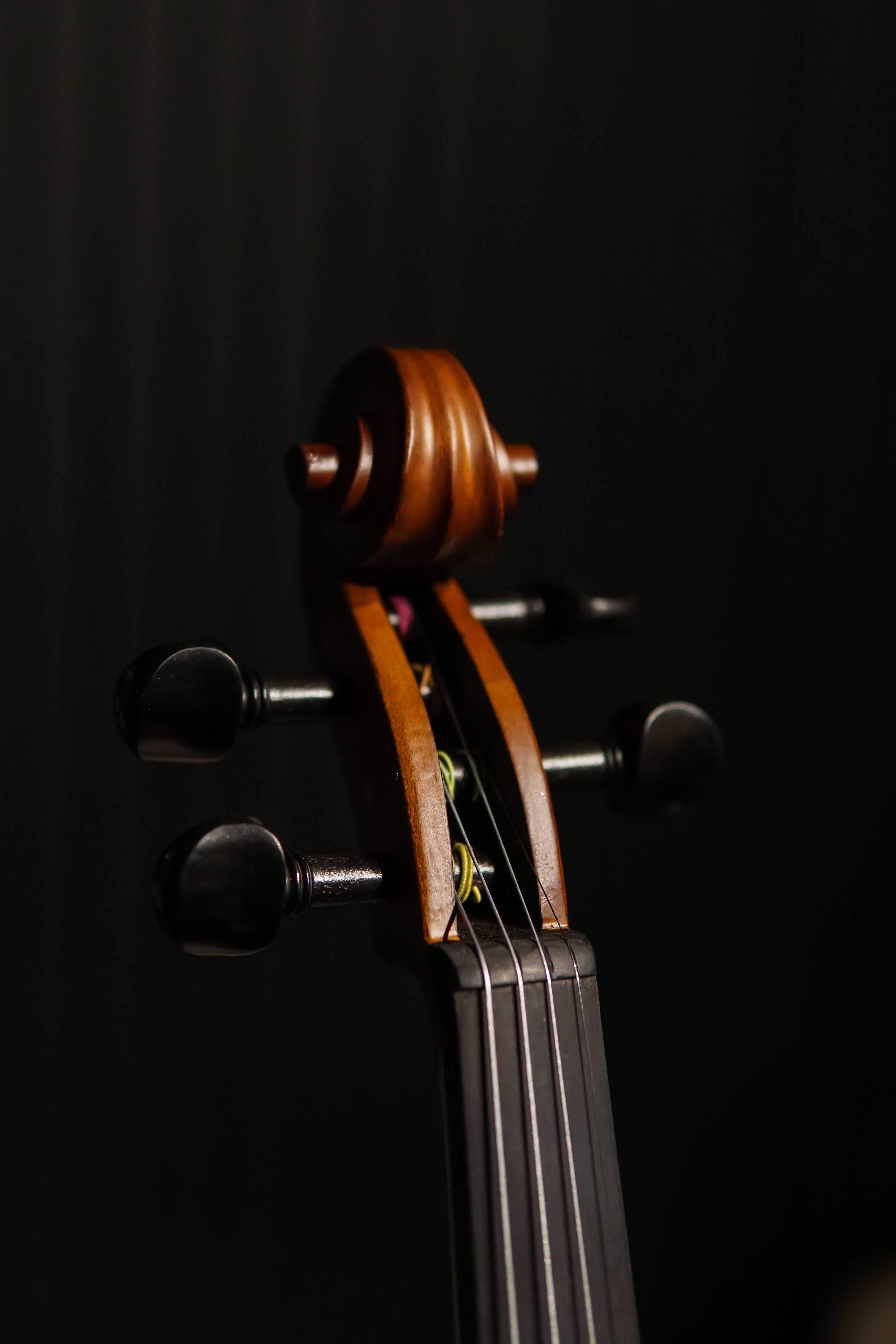 Schnecke eines Cellos